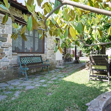 Traditionelles Appartement Athos Shadow Am Meer Paralia Sikias Εξωτερικό φωτογραφία