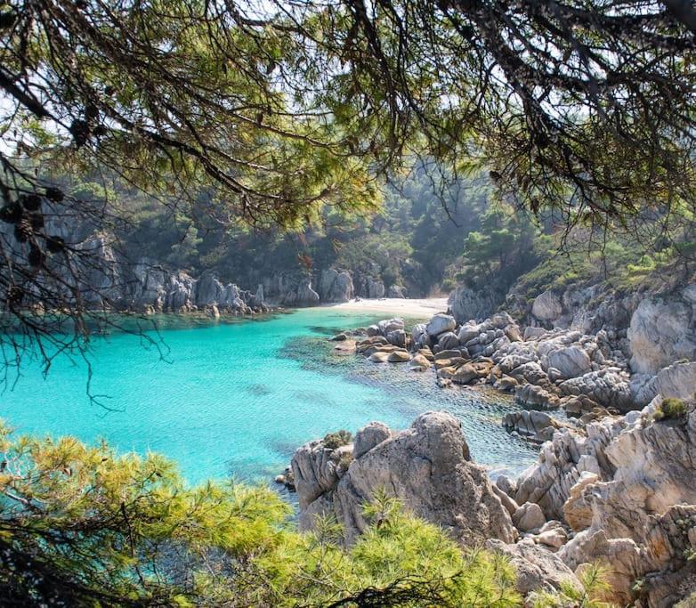 Traditionelles Appartement Athos Shadow Am Meer Paralia Sikias Εξωτερικό φωτογραφία