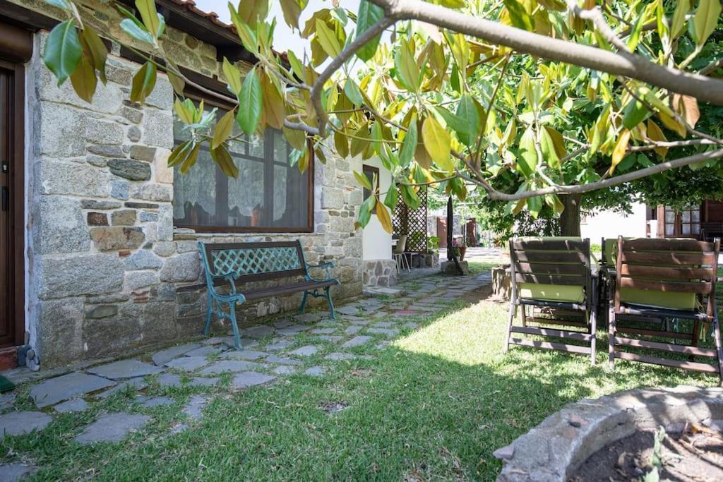 Traditionelles Appartement Athos Shadow Am Meer Paralia Sikias Εξωτερικό φωτογραφία