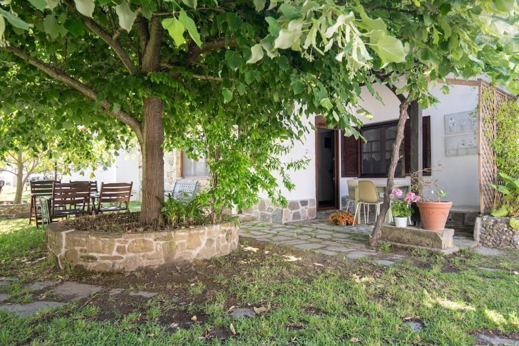 Traditionelles Appartement Athos Shadow Am Meer Paralia Sikias Εξωτερικό φωτογραφία