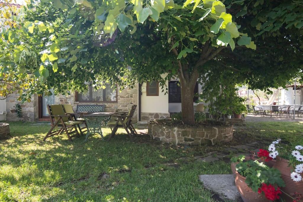 Traditionelles Appartement Athos Shadow Am Meer Paralia Sikias Εξωτερικό φωτογραφία